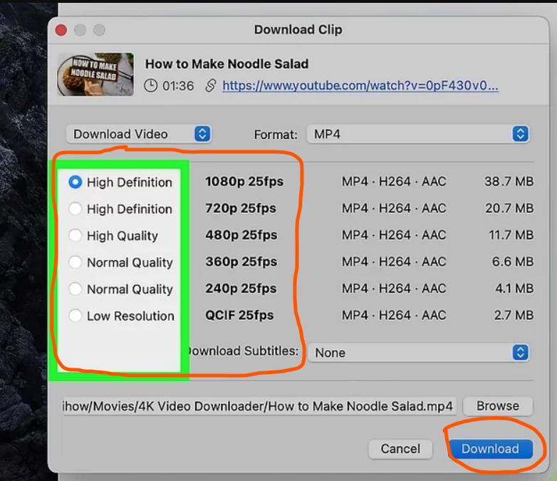 how to download videos from youtube to macbook using 4K Video Downloader Step 4